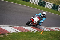 Middle Group Multicolour Bikes